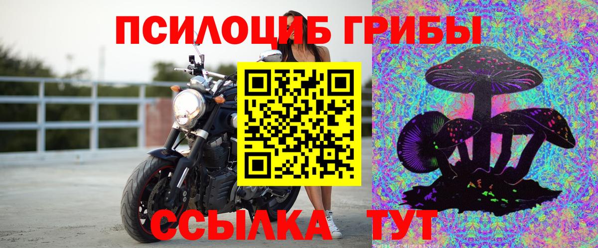 Галлюциногенные грибы MAGIC MUSHROOMS  Вход с VPN  Евпатория 